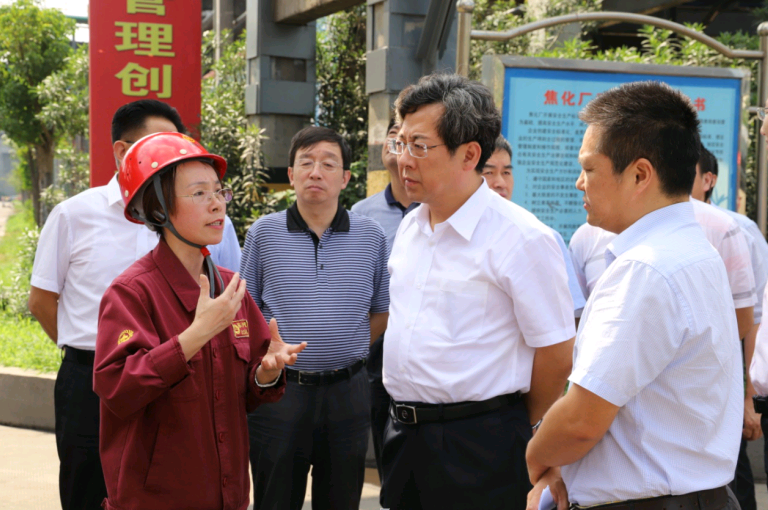 省環保廳廳長王天琦一行來淮鋼視察